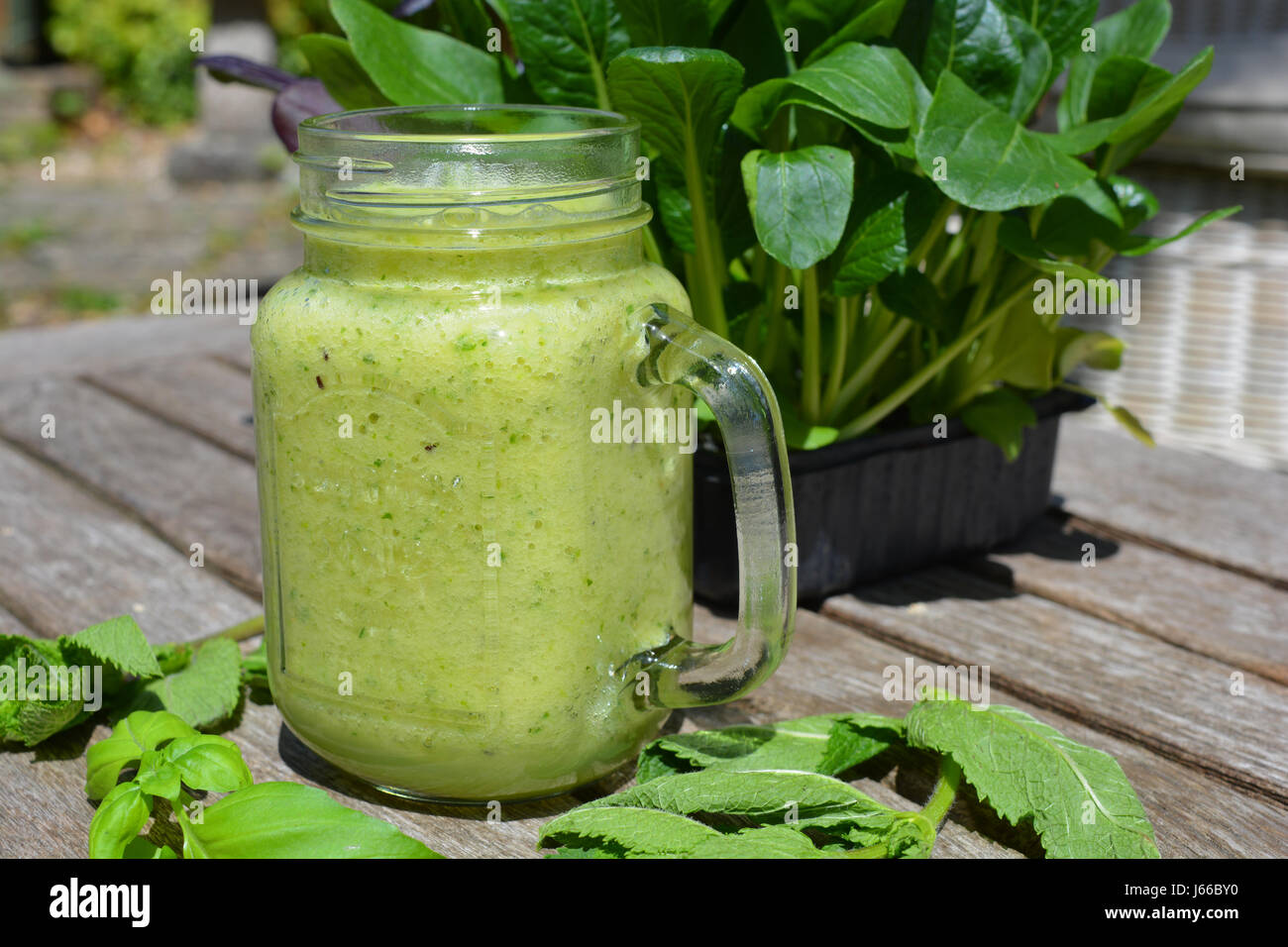 Gesunde Lebensweise. Grüne Gemüse Smoothie trinken Stockfoto