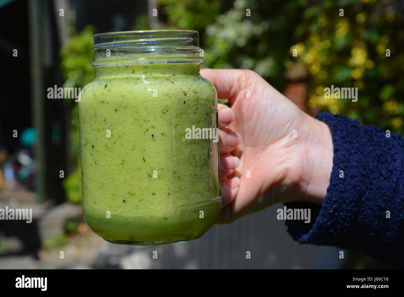 Gesunde Lebensweise. Grüne Gemüse Smoothie trinken Stockfoto