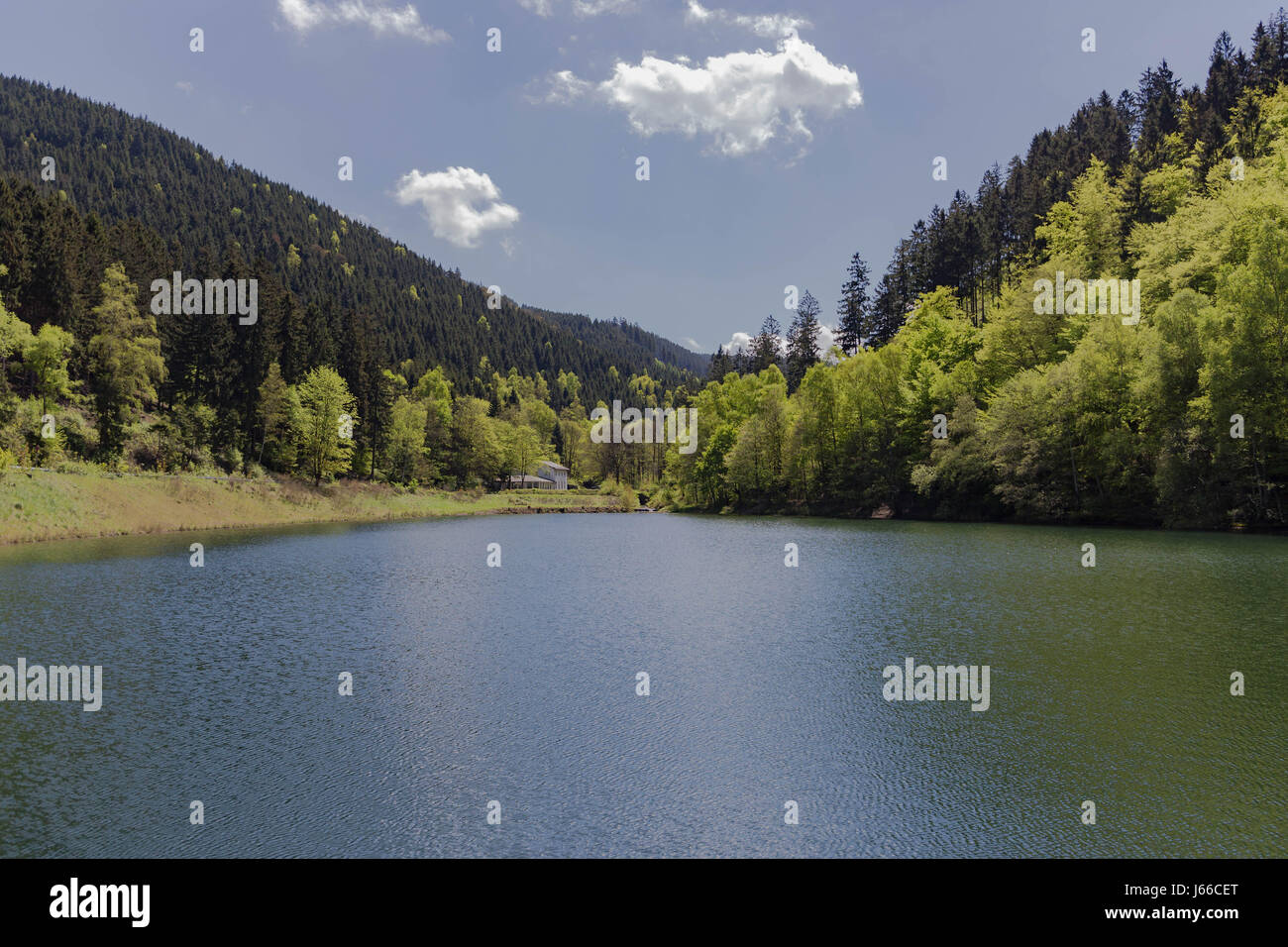 See im Harz Stockfoto