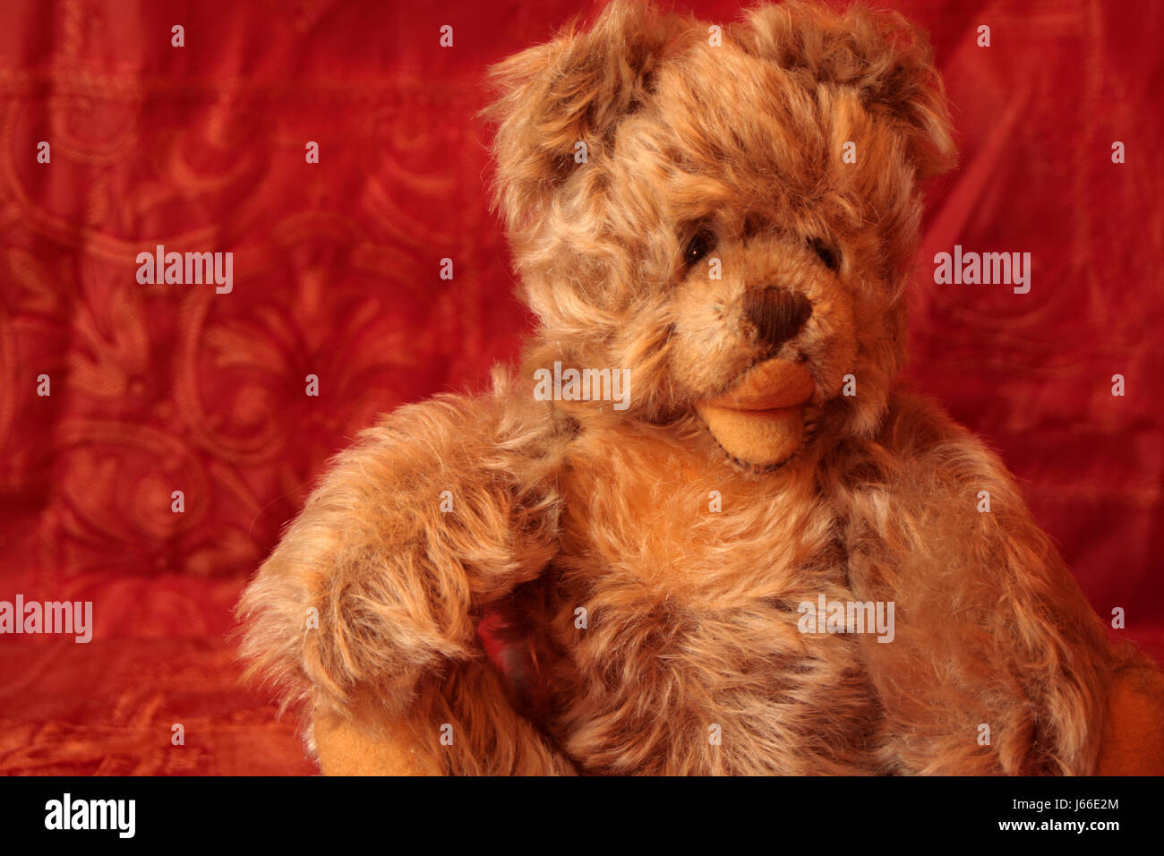 kleine winzige kleine kurze Teddy geliebt alten kleinen winzigen kurzen Teddy geliebt alt Stockfoto