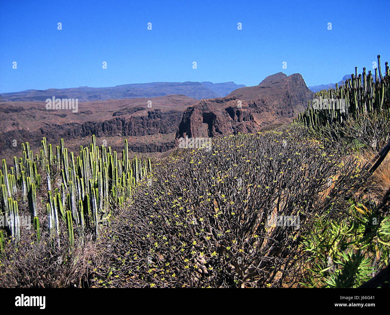 Gran canaria Stockfoto