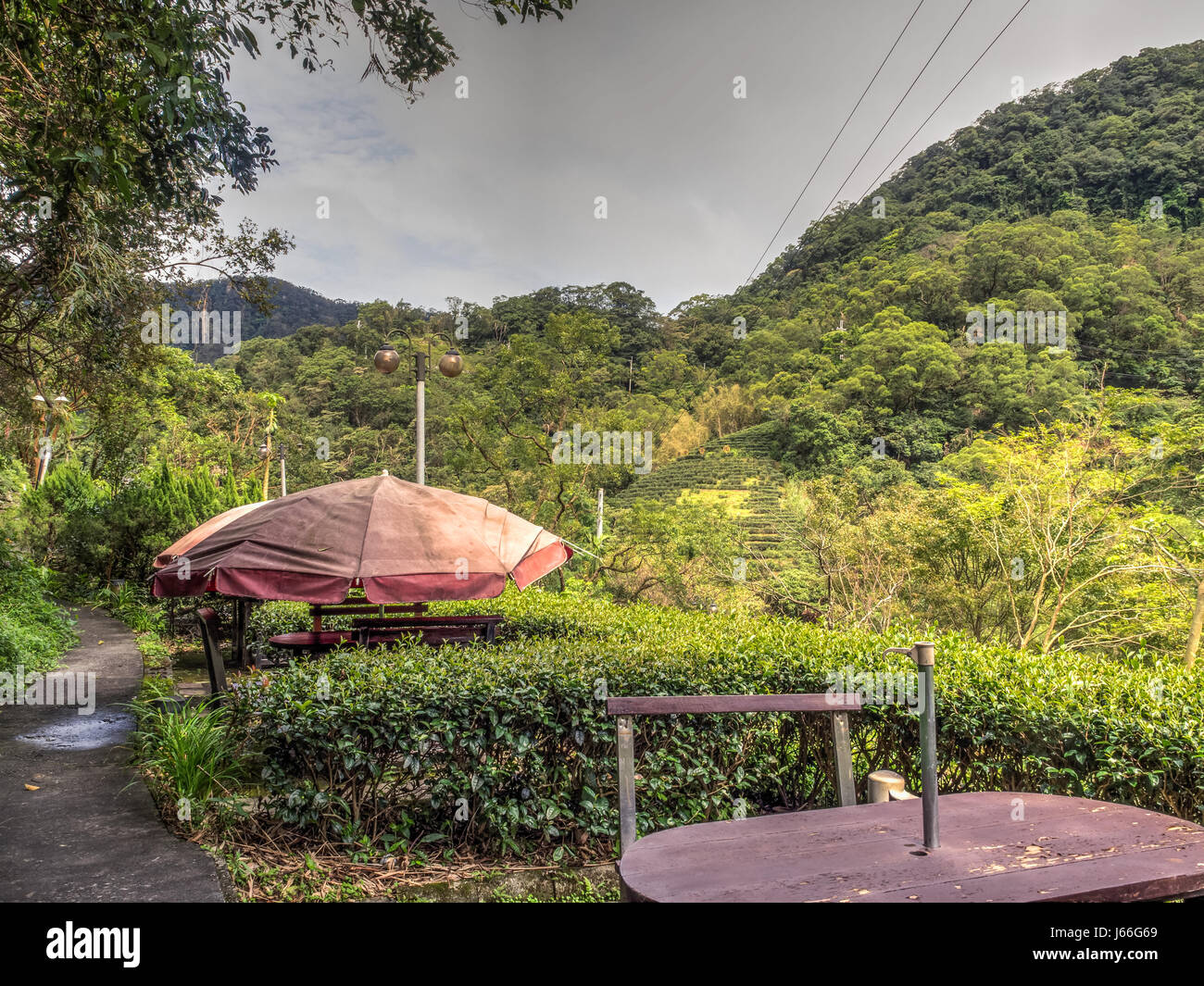 Defekte Bänke und Tisch im Teehaus. Taifun-Effekt auf den Hügeln von Maokong in Taiwan Stockfoto