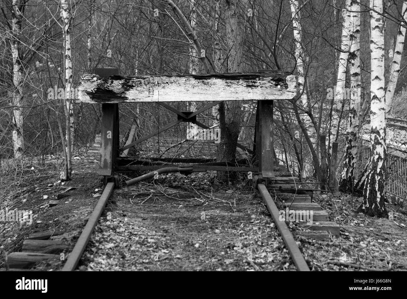 Holzbalken Spuren Zweig Seite Blatt Holzbalkens verfolgt schwarze dunkelhäutige kohlschwarze tief Stockfoto