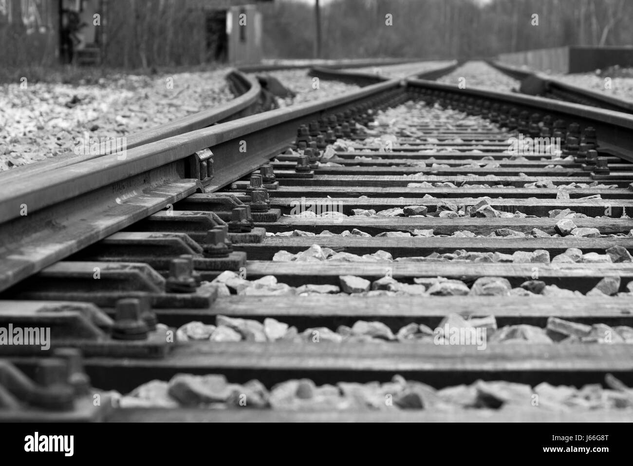 Spuren Schwarzer dunkelhäutigen kohlschwarze tiefschwarze niet blasse helle reinen weißen Schnee Stockfoto