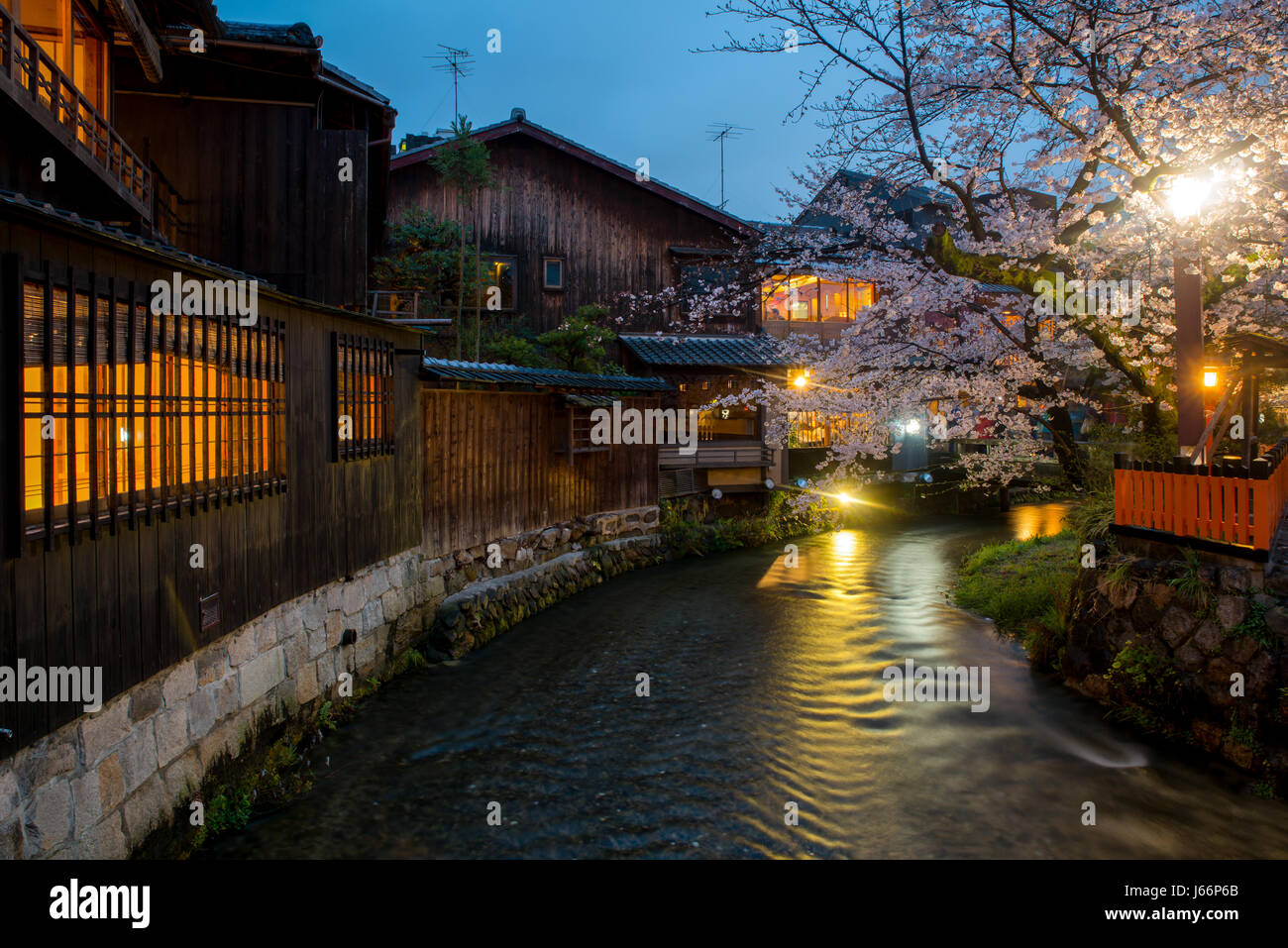 Kyoto, Japan am Fluss Shirakawa im Stadtteil Gion im Frühjahr. Cherry Blossom Saison in Kyoto, Japan. Stockfoto
