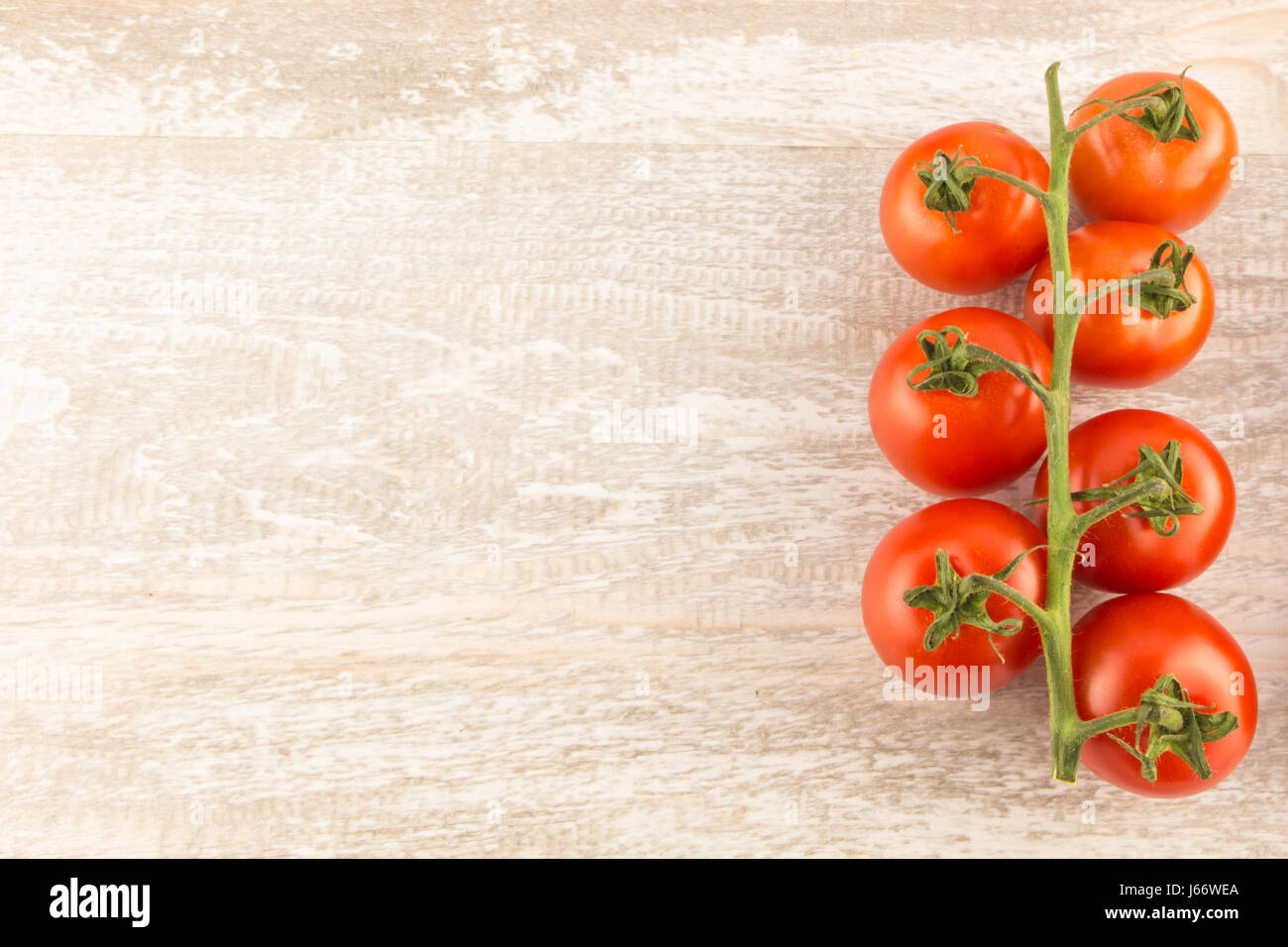 Tomaten auf einem weißen Hintergrund Holz hautnah Textfreiraum Stockfoto
