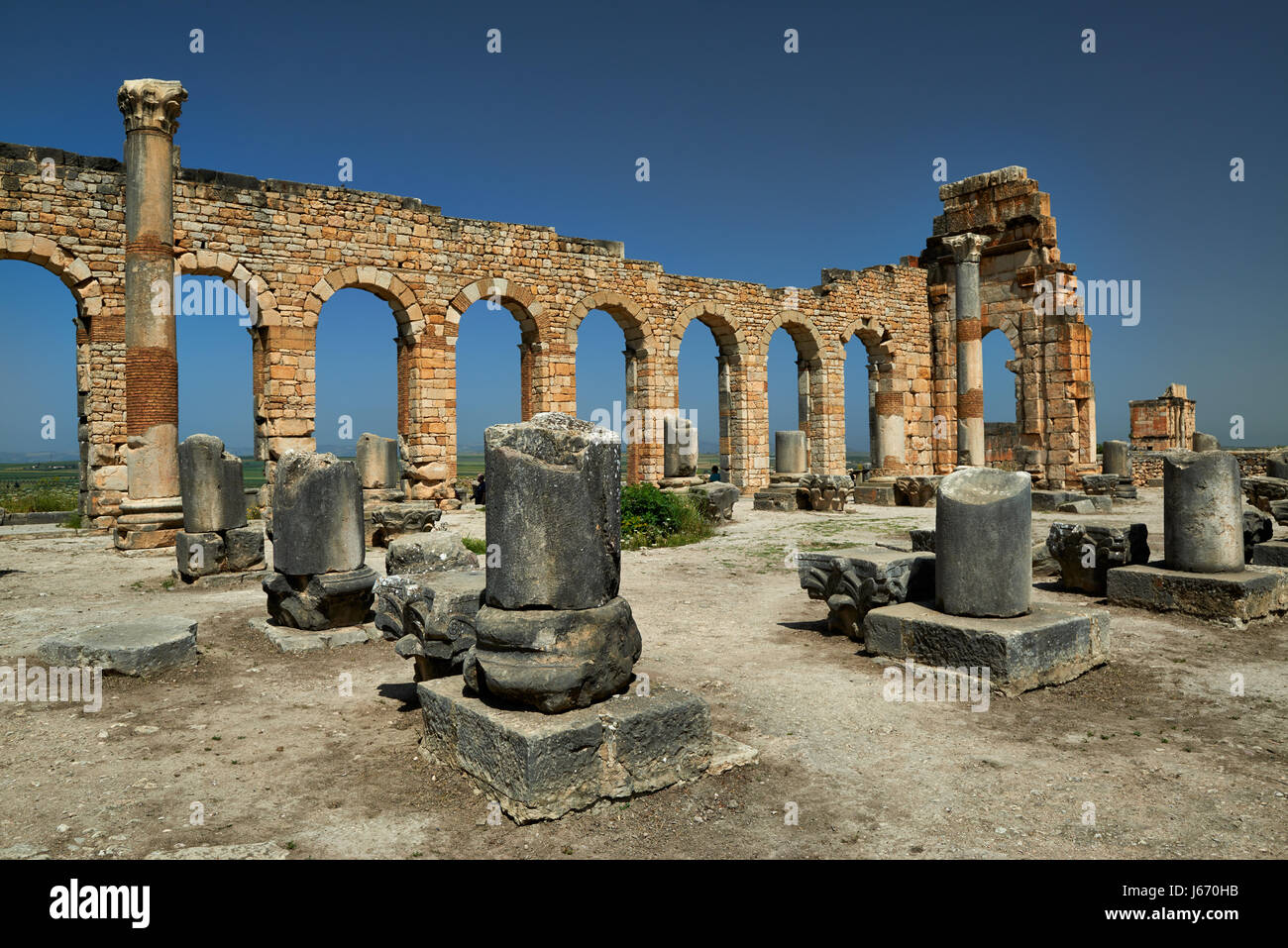 Basilika von Volubilis, römische Ausgrabungen in Marokko, Afrika Stockfoto