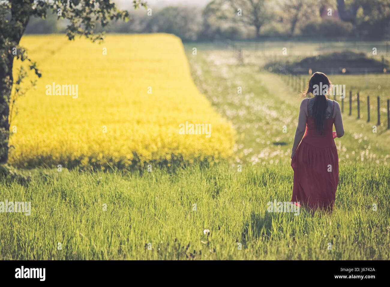 Sommer-feeling Stockfoto