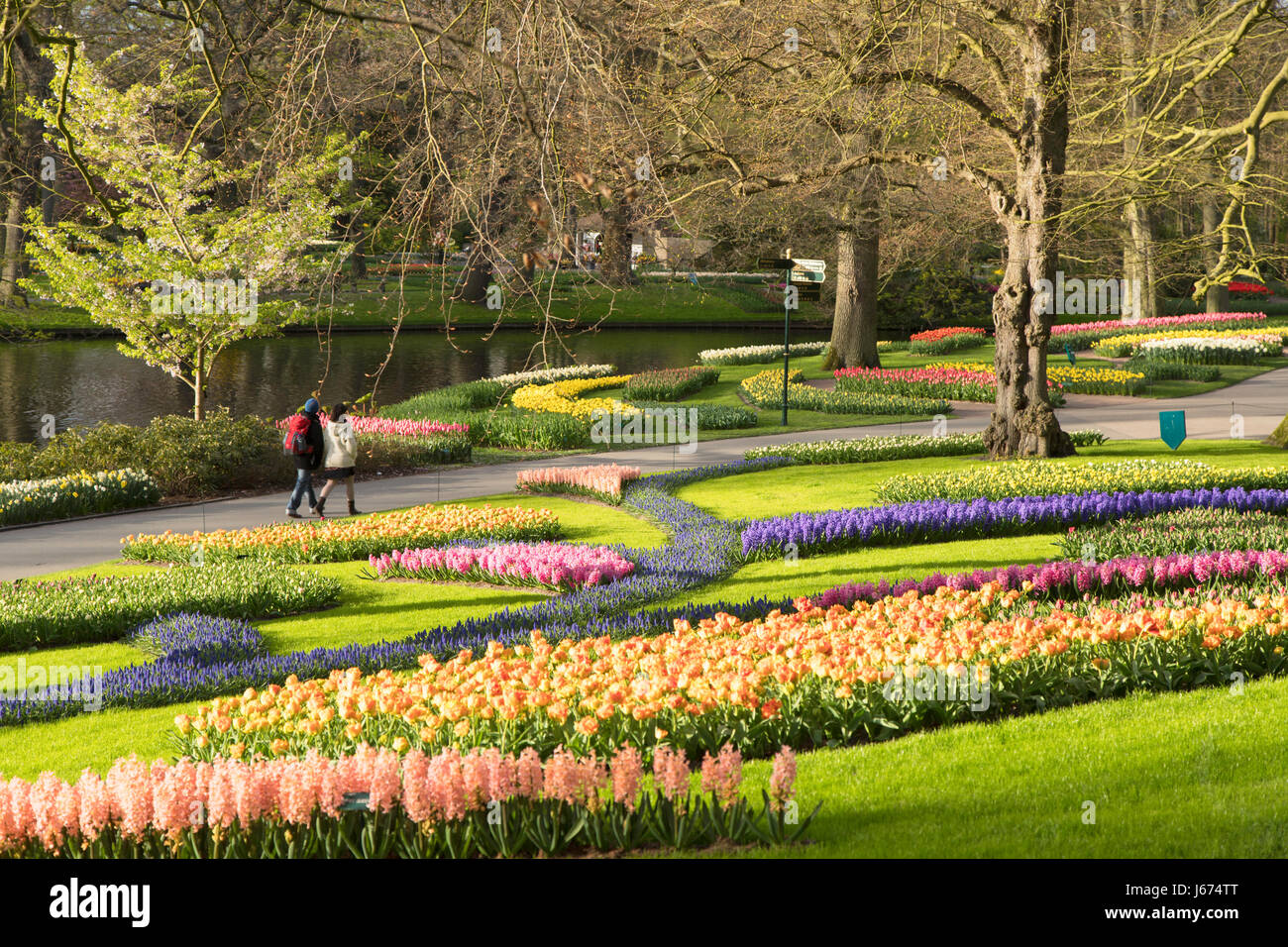 Blumen im Keukenhof Gardens, Lisse, Niederlande Stockfoto