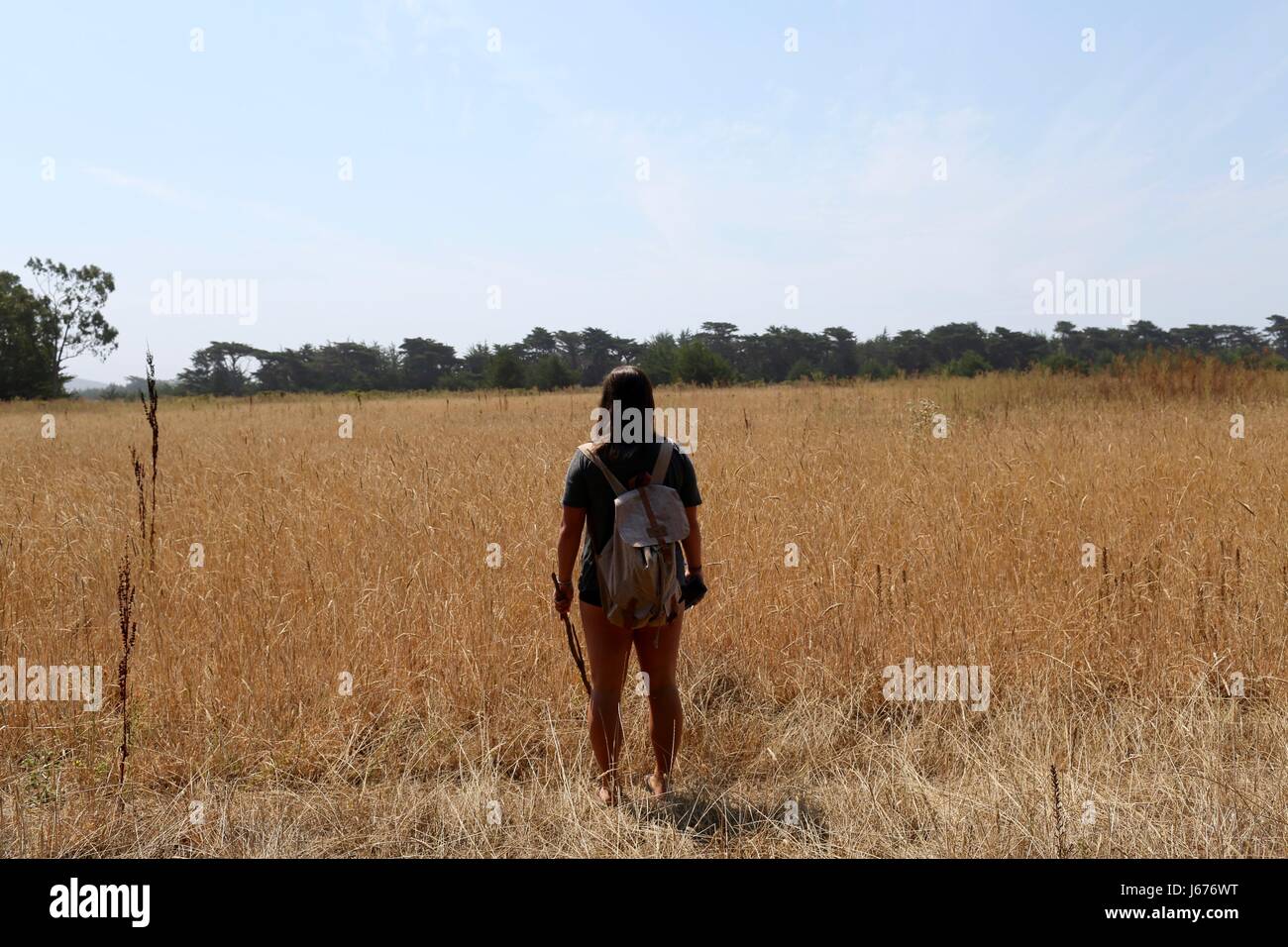 Wandern durch das Feld Stockfoto