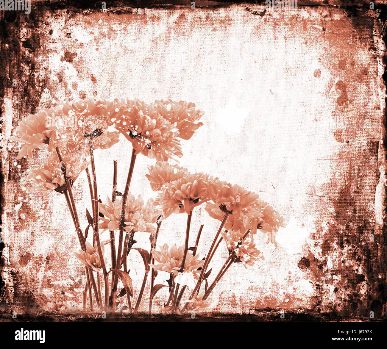 Kunst Blume Pflanze antike digitale Leinwand abstrakte Aquarell im Alter Bild gebeizt Stockfoto