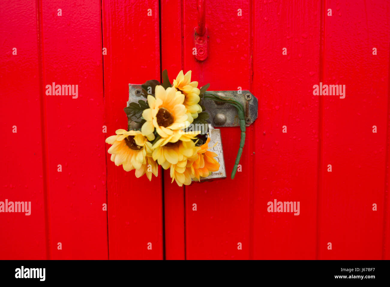 Gelbe Plastikblumen auf rote Holztür, Strandhütten, Hove, Sussex Stockfoto