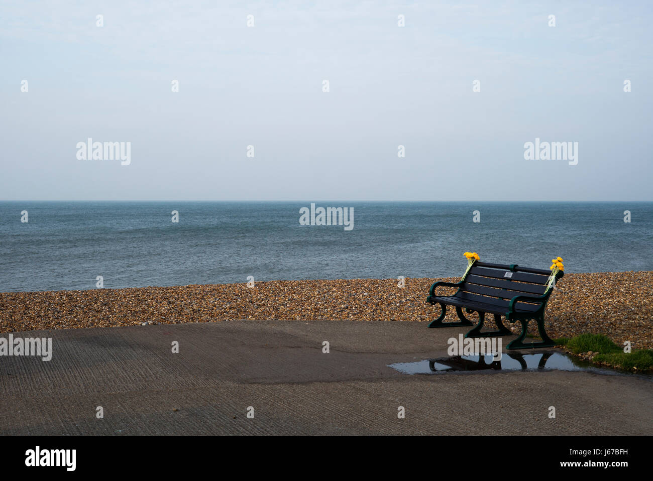 Am Meer-Bank mit gelben Denkmal Blumen Stockfoto