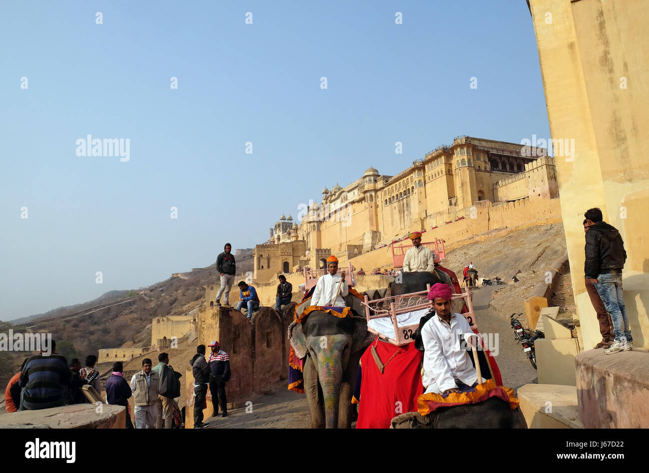 Elefanten, die die Touristen zu Amber Fort in Jaipur, Rajasthan, Indien, am 16. Februar 2016 eingerichtet. Stockfoto