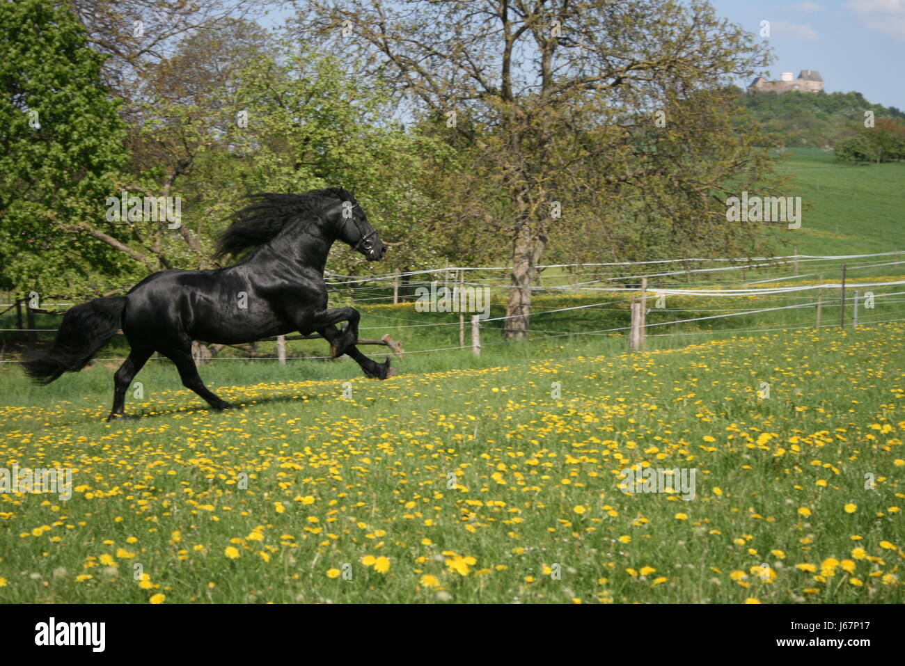 Black-power Stockfoto