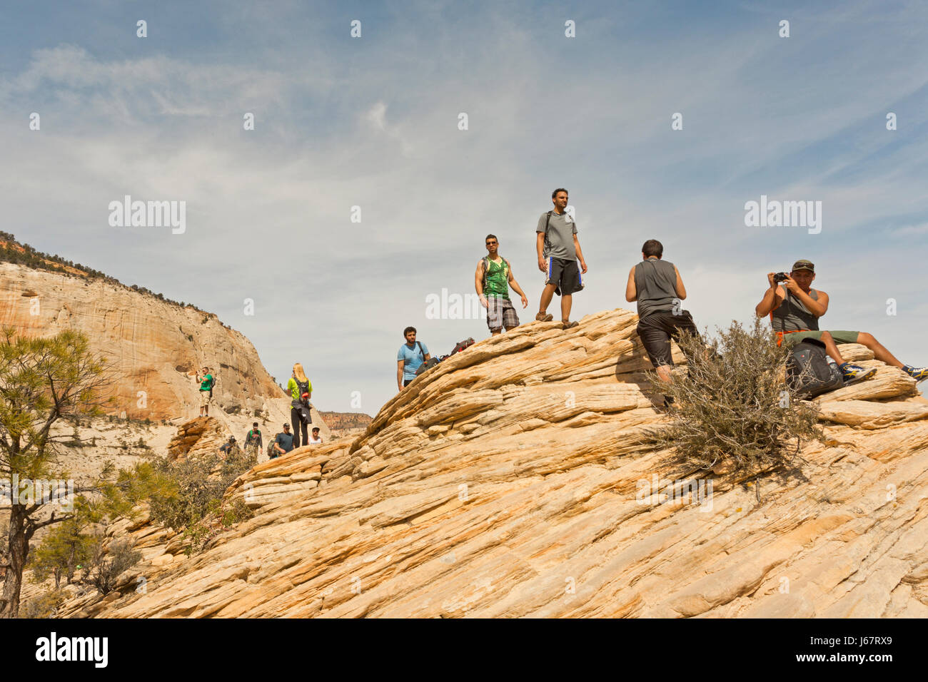 Frühjahr Leistungsschalter Wanderung zum Angels Landing Stockfoto