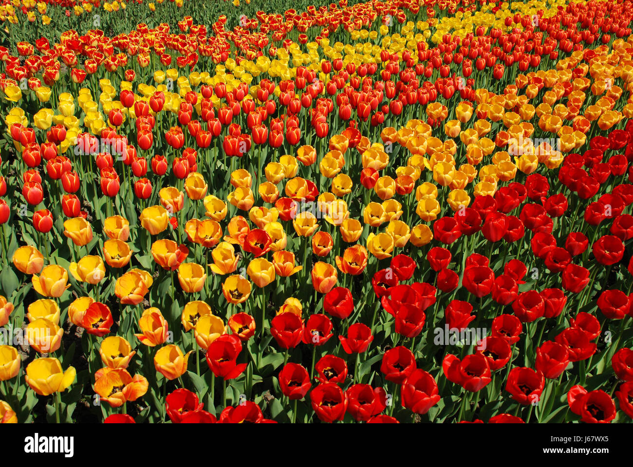 Berlin britz garden Fotos und Bildmaterial in hoher Auflösung Alamy