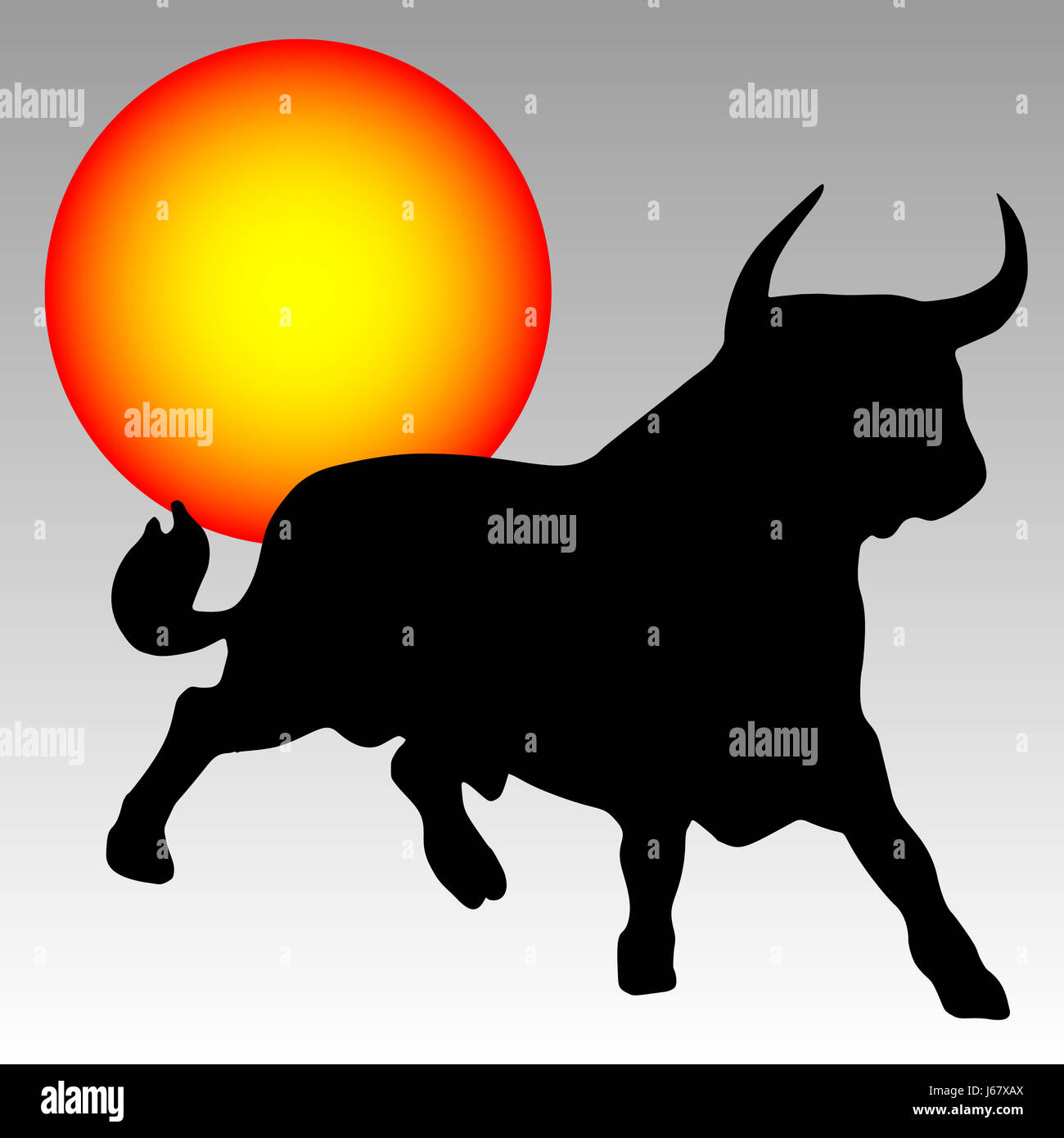 Scharzer Stier mit Sonne Stockfoto