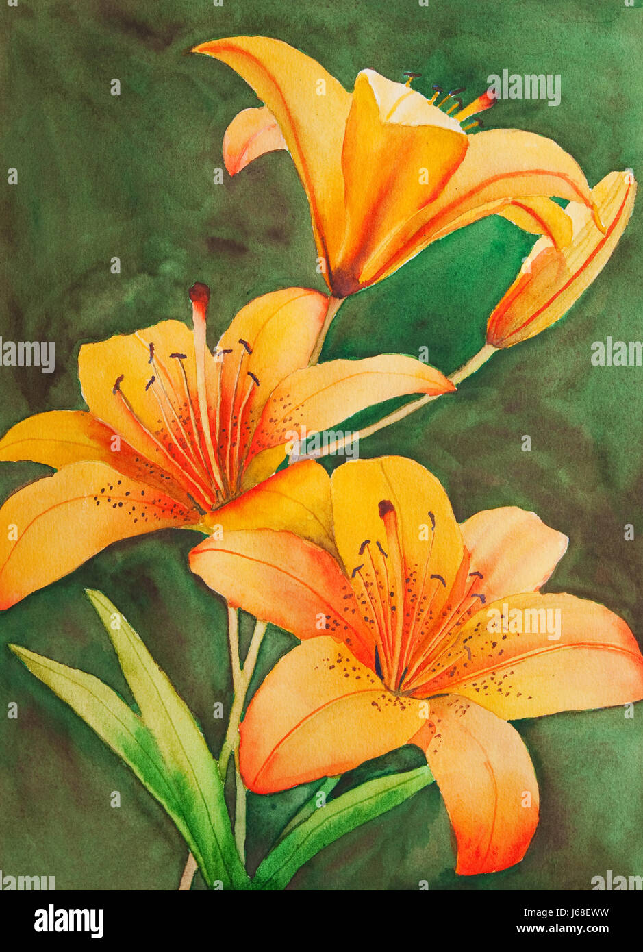 Kunst Blume Pflanze Malerei Lilie orange Aquarell Dyer Staint Pigment schöne Stockfoto