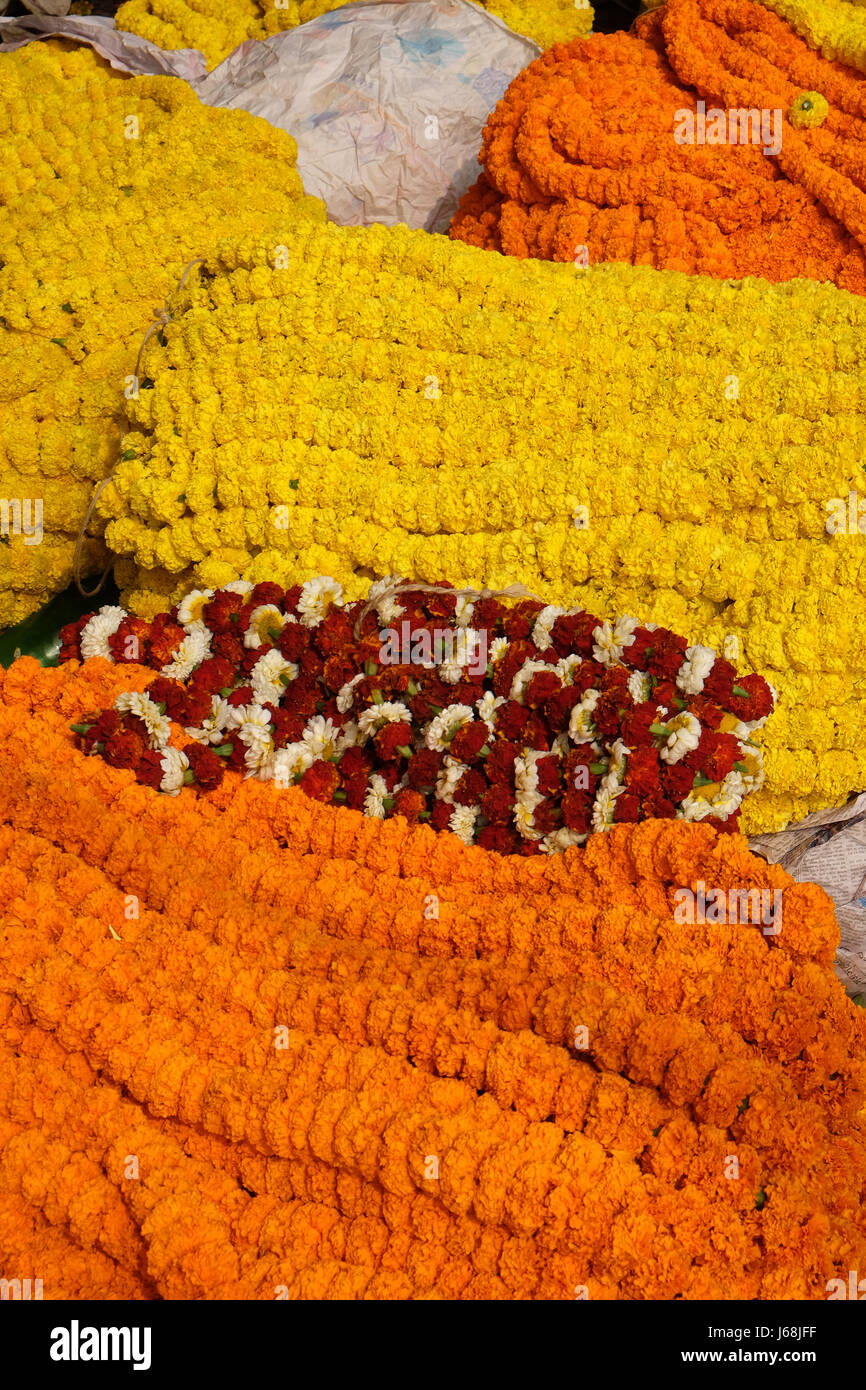 Blumen und Girlanden für Verkauf auf dem Blumenmarkt im Schatten der die Haora-Brücke in Kalkutta am 10. Februar 2016. Stockfoto