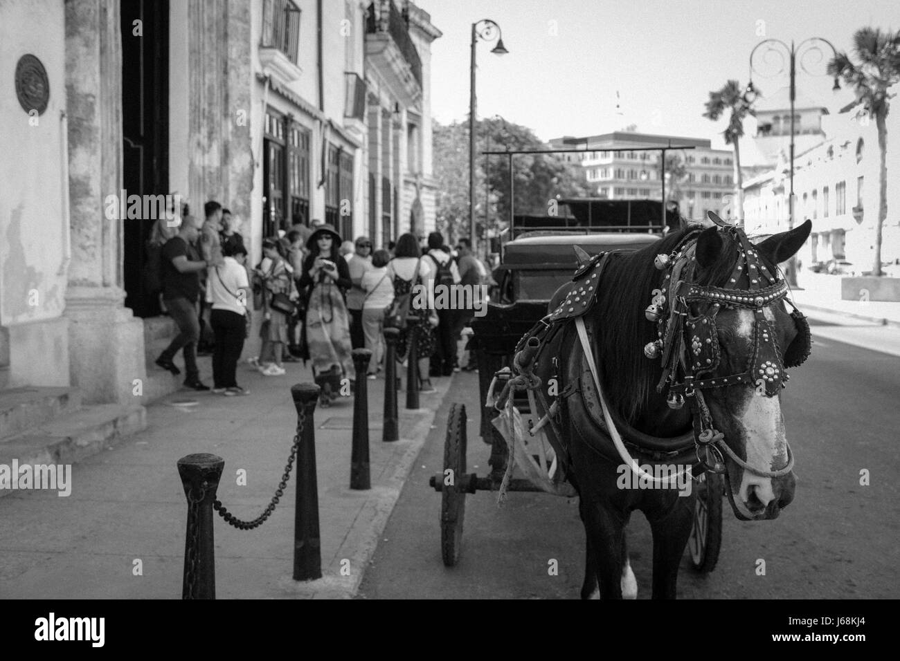 Eine alte Kutsche in Havanna, Kuba Stockfoto