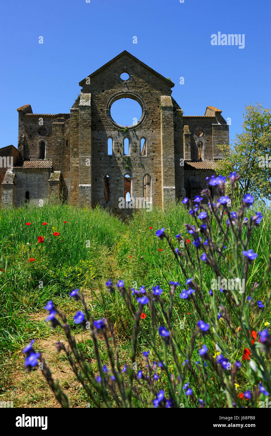 außen Abbazia di San Galgano, Chor Stockfoto