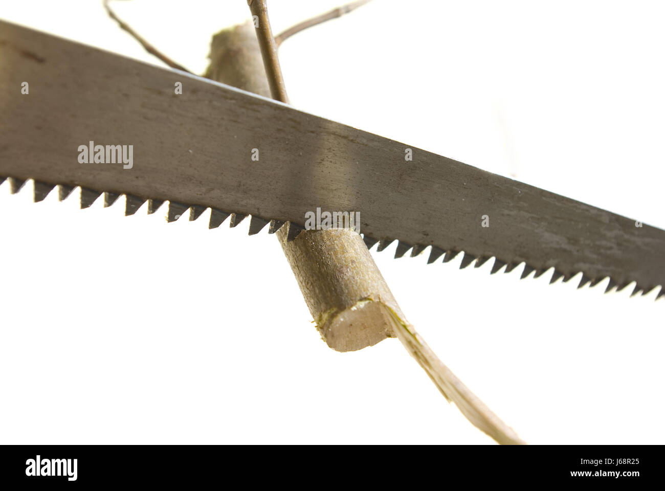 isolierte Werkzeuge sah Schnittfuge Gadget Hintergrund Scheune schöne Klinge Board Bogen bauen Stockfoto