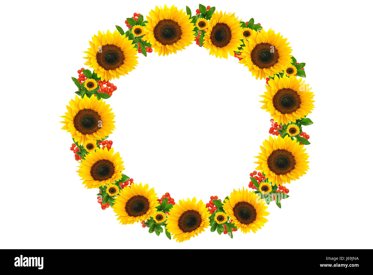 Sonnenblume Kranz Stockfoto