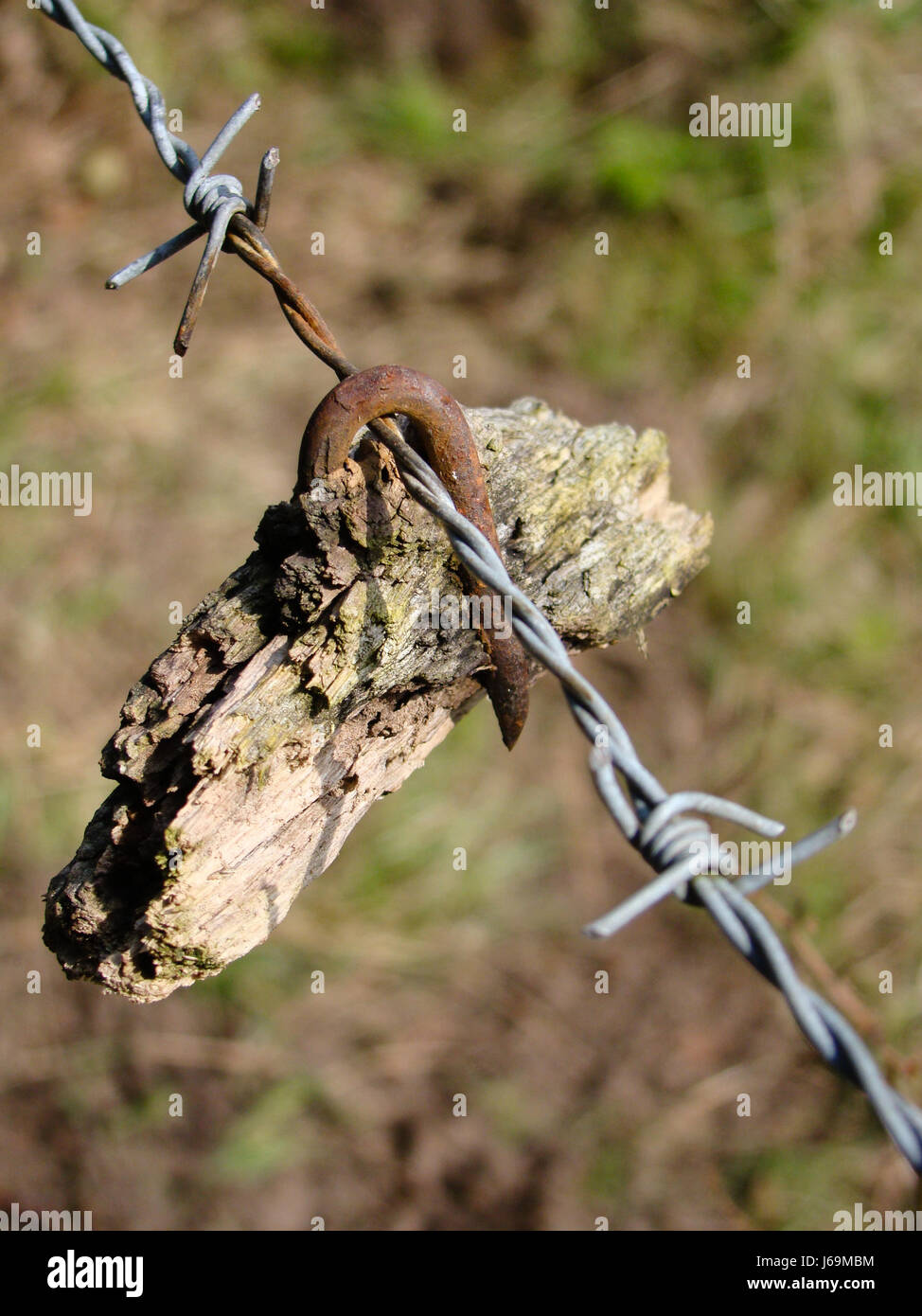 Holzzaun rostigen Haken Stacheldraht Nagel Nägel Weide Makro Nahaufnahme Makro Stockfoto