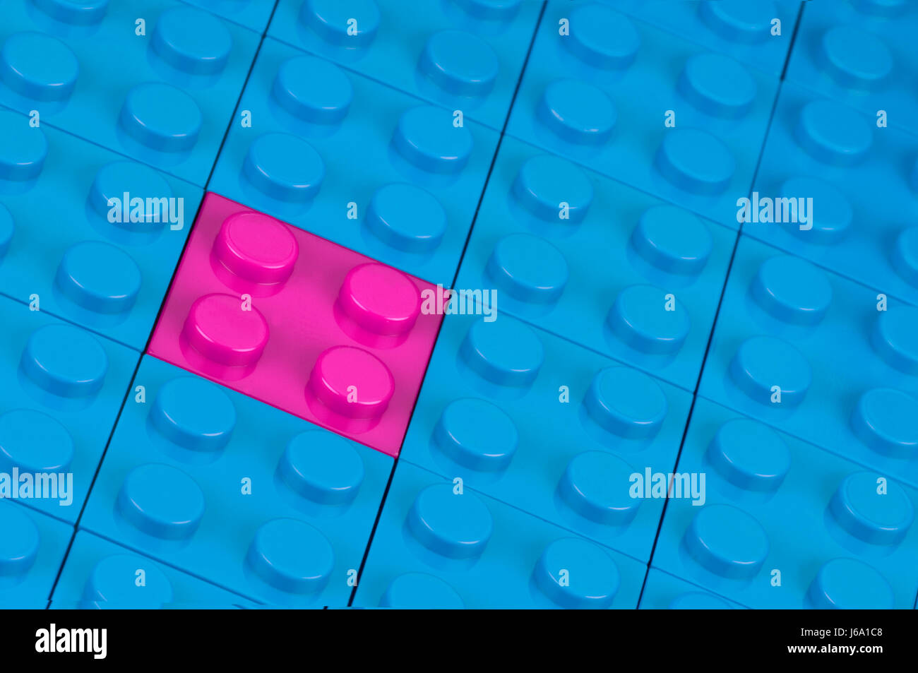 Noppen-Würfel pink und blau Stockfoto
