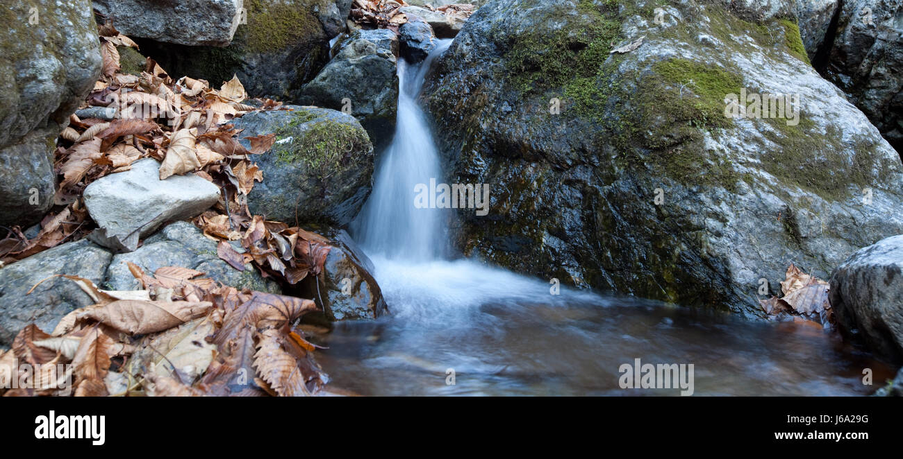 Bach Wasserfall Fluss Wasser Natur Glanz strahlt helles lucent Licht heiter Stockfoto