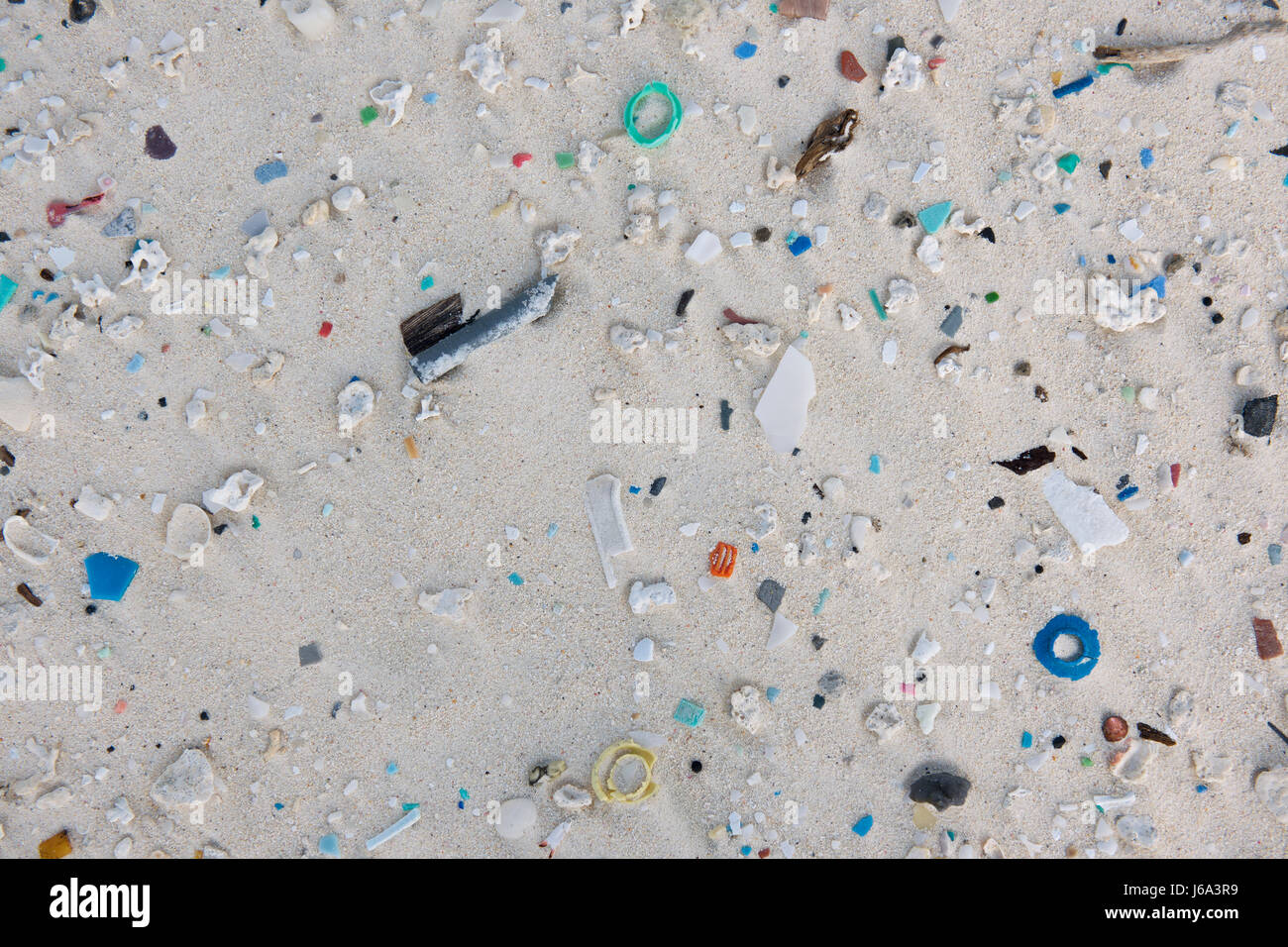 Plastik Müll am Strand auf dem Midway-Atoll gefunden. Albatros und andere Seevögel verwechseln Gegenstand aus Kunststoff mit Essen und sterben aus der Ansammlung von debr Stockfoto