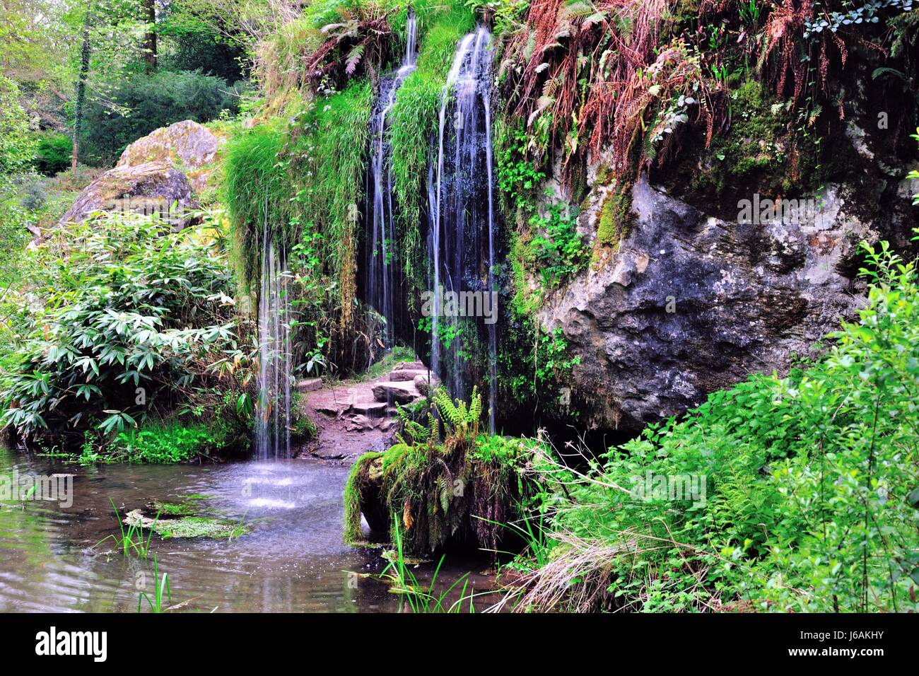 Wasserfall und Pool auf dem Gelände des Blarney Castle in Blarney, County Cork, Irland. Das war selbst wurde 1446 von Dermot McCarthy gebaut. Stockfoto