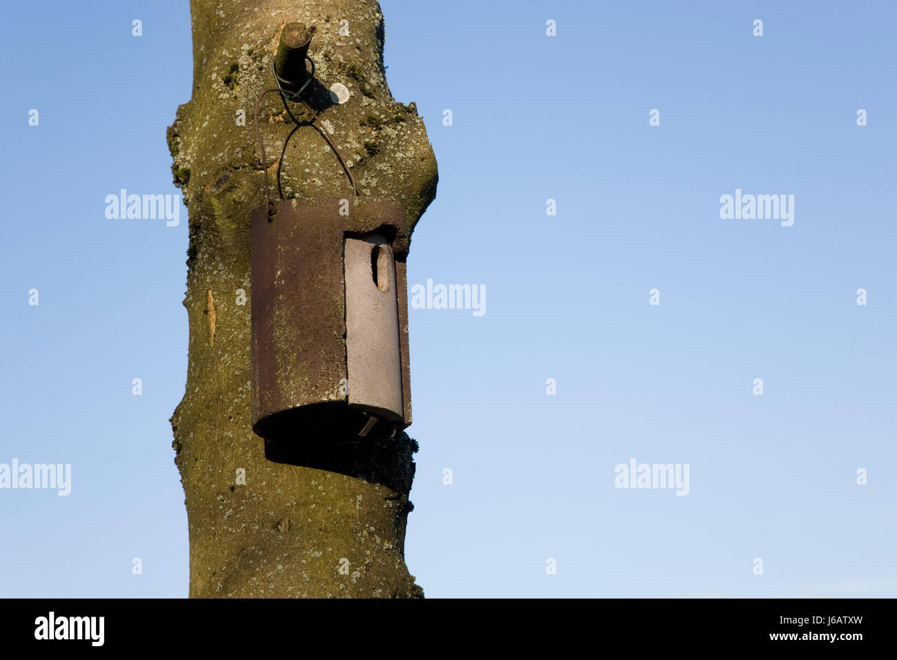 Selfmade Nistkasten Stockfoto