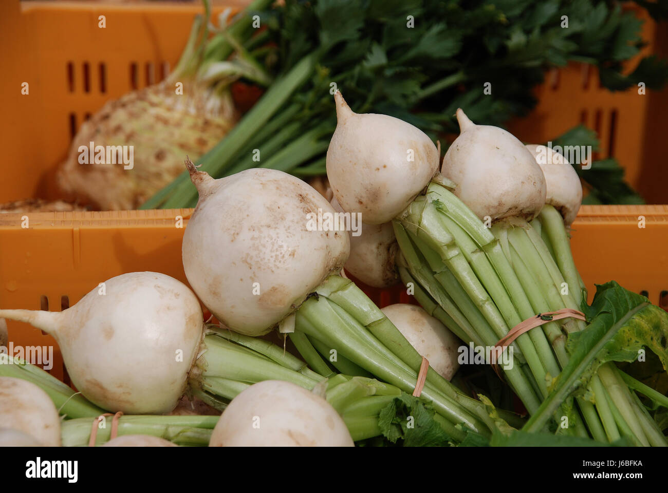 Gemüsemarkt Stall Rettich wöchentlichen Markt Marktplatz Flohmarkt eco Stockfoto