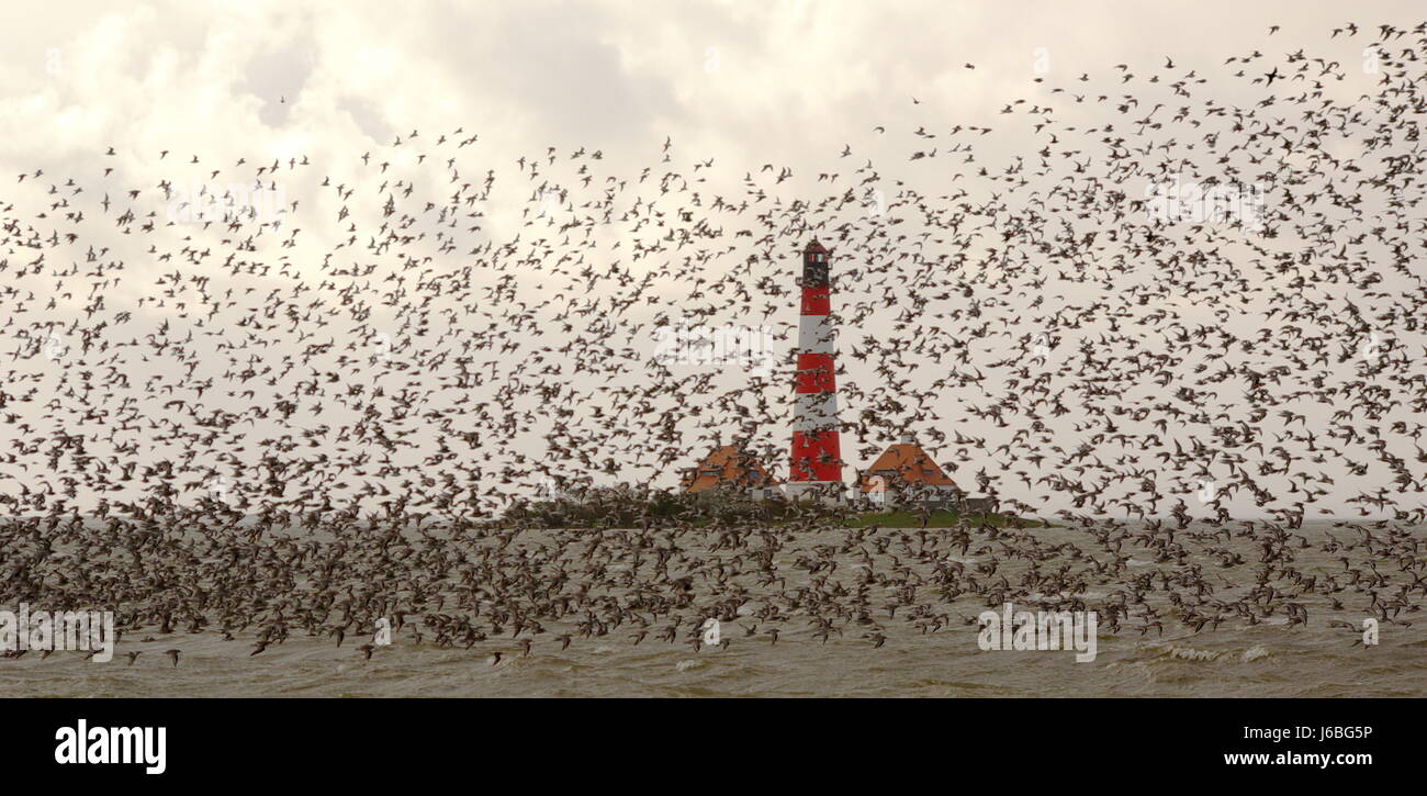 Knoten Stockfoto