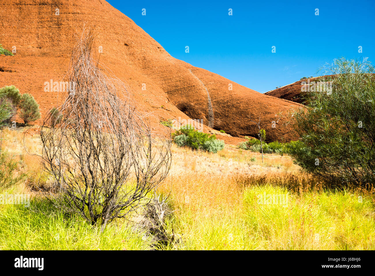 Die Olgas (Kata Tjuta), Uluru-Kata Tjuta National Park, UNESCO-Weltkulturerbe, Northern Territory, Australien. Stockfoto