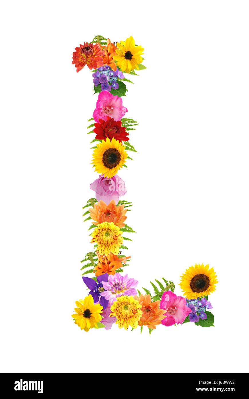 Blume Blumen Pflanze Buchstaben Buchstaben Alphabet farbig bunt wunderschön  Stockfotografie - Alamy
