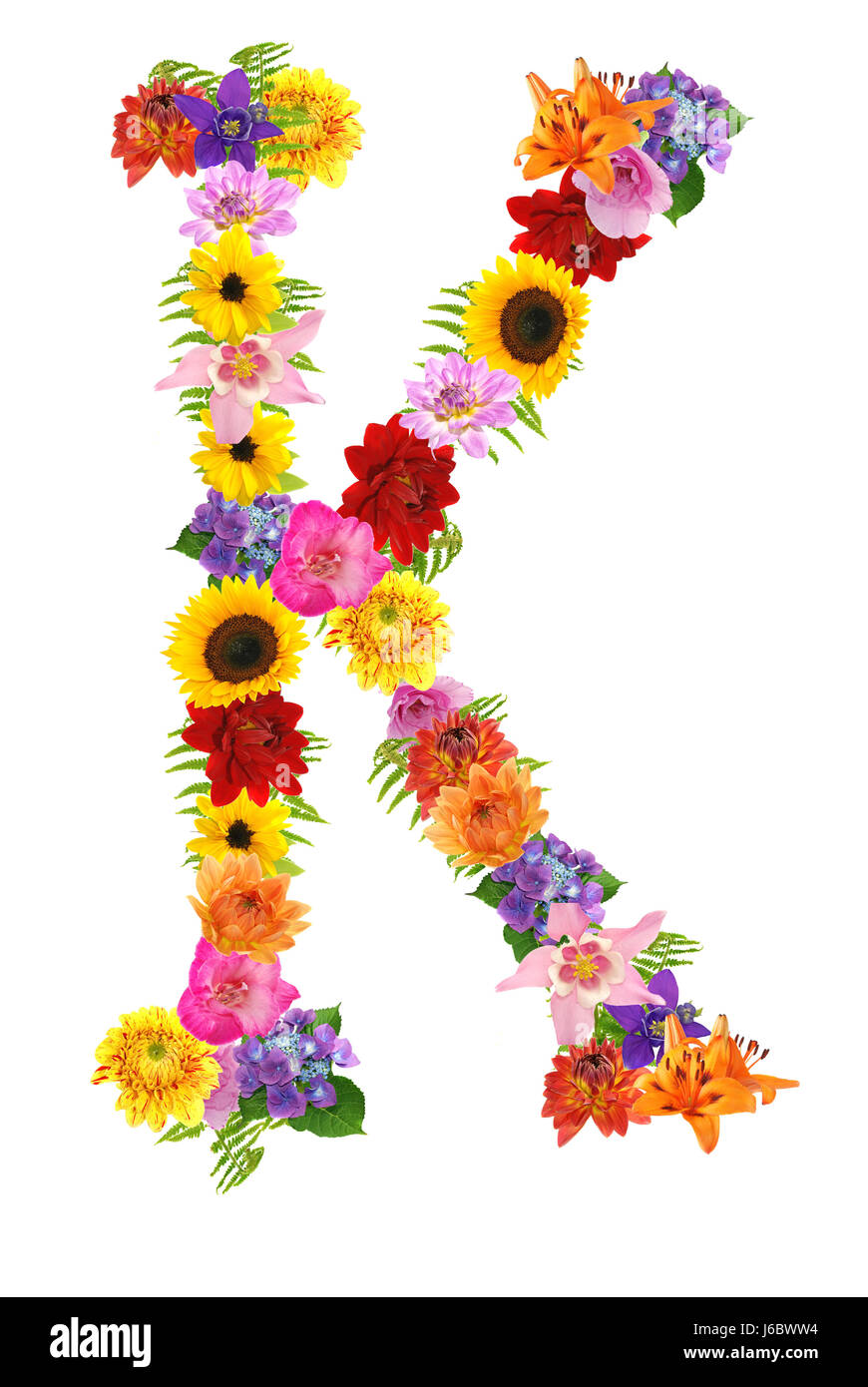 Blume Blumen Pflanzen Buchstaben Buchstaben Alphabet symbolische farbig
