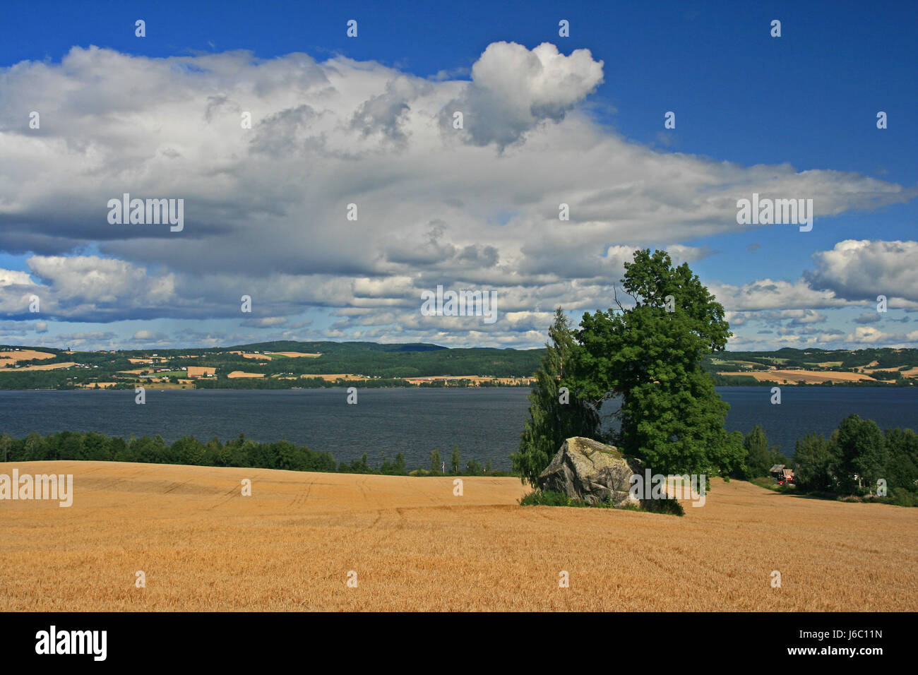 Baum Stein Landwirtschaft Landwirtschaft Anblick Ansicht Outlook Perspektive Vista panorama Stockfoto