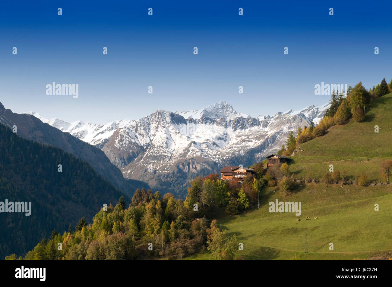 Bergbauern Stockfoto