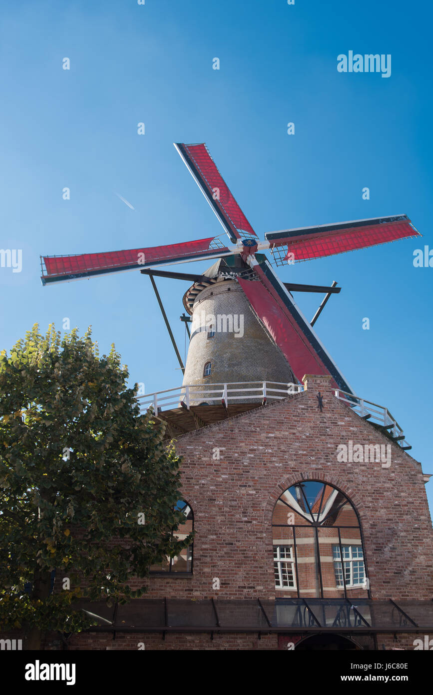 Windmühle mit roten Flügeln in Sluis, Holland Stockfoto