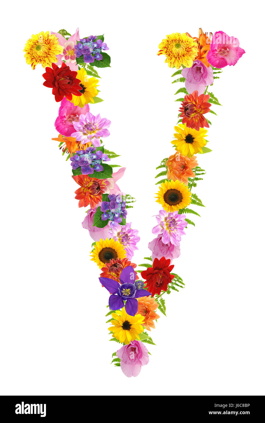 Blume Blumen Pflanzen Buchstaben Buchstaben Alphabet symbolische farbig  bunt Stockfotografie - Alamy