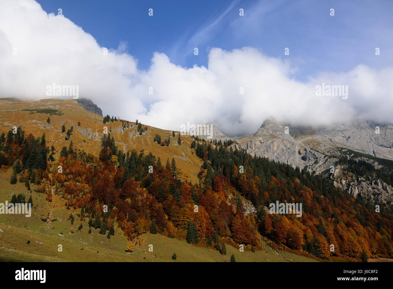 Berge Alpen Österreicher Naturschutzgebiet Tirol eng Baum Bäume Berge Stockfoto