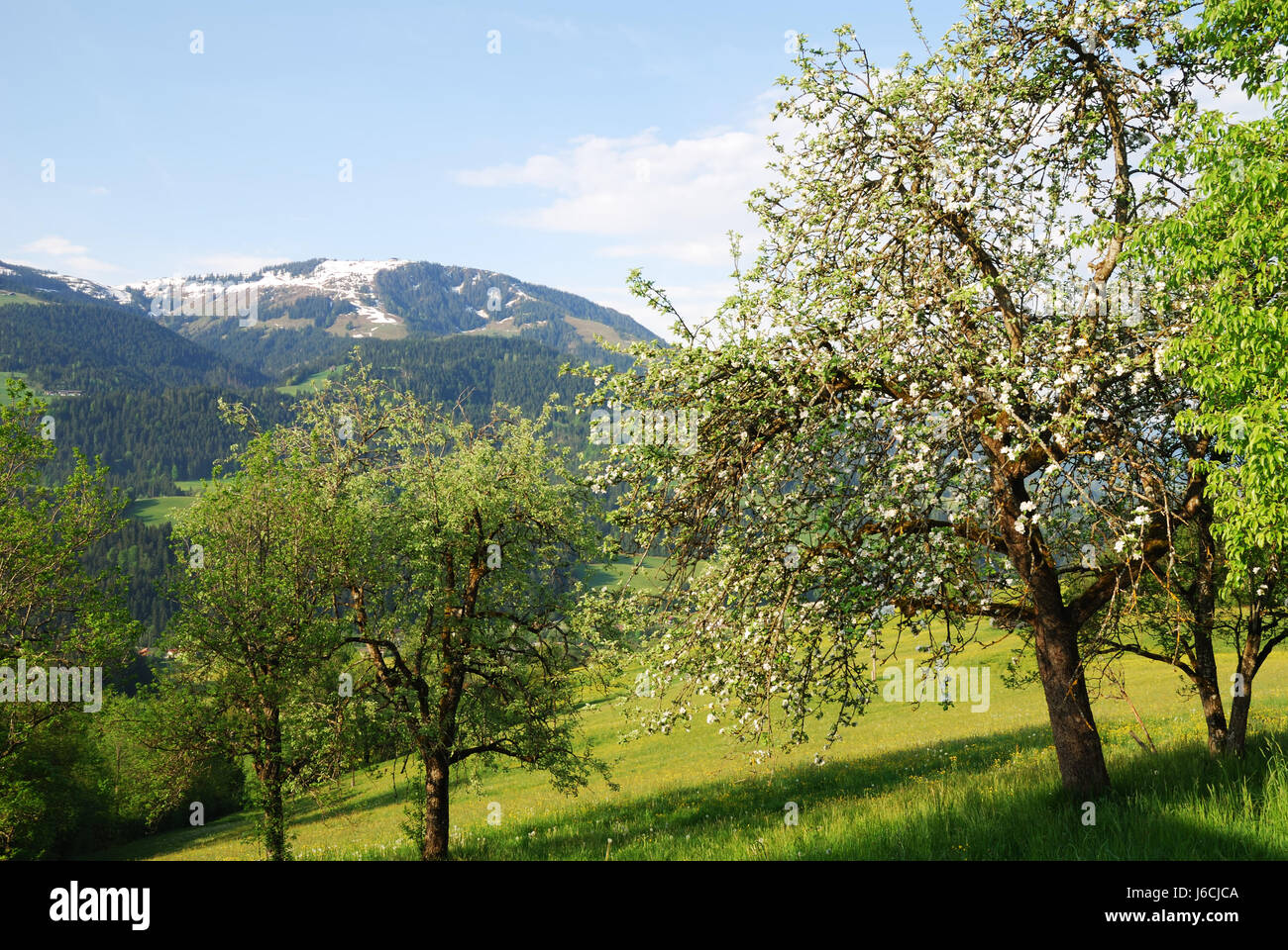 Berge-Alpen Österreich Idylle Land Landschaft Landschaft Landschaft Natur Stockfoto