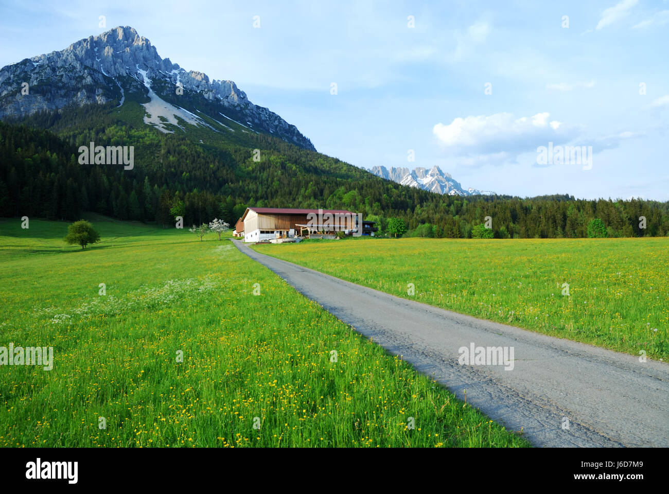 Alpen Österreich Bauernhof Idylle Land Landschaft Landschaft Landschaft Natur Gebirge Stockfoto
