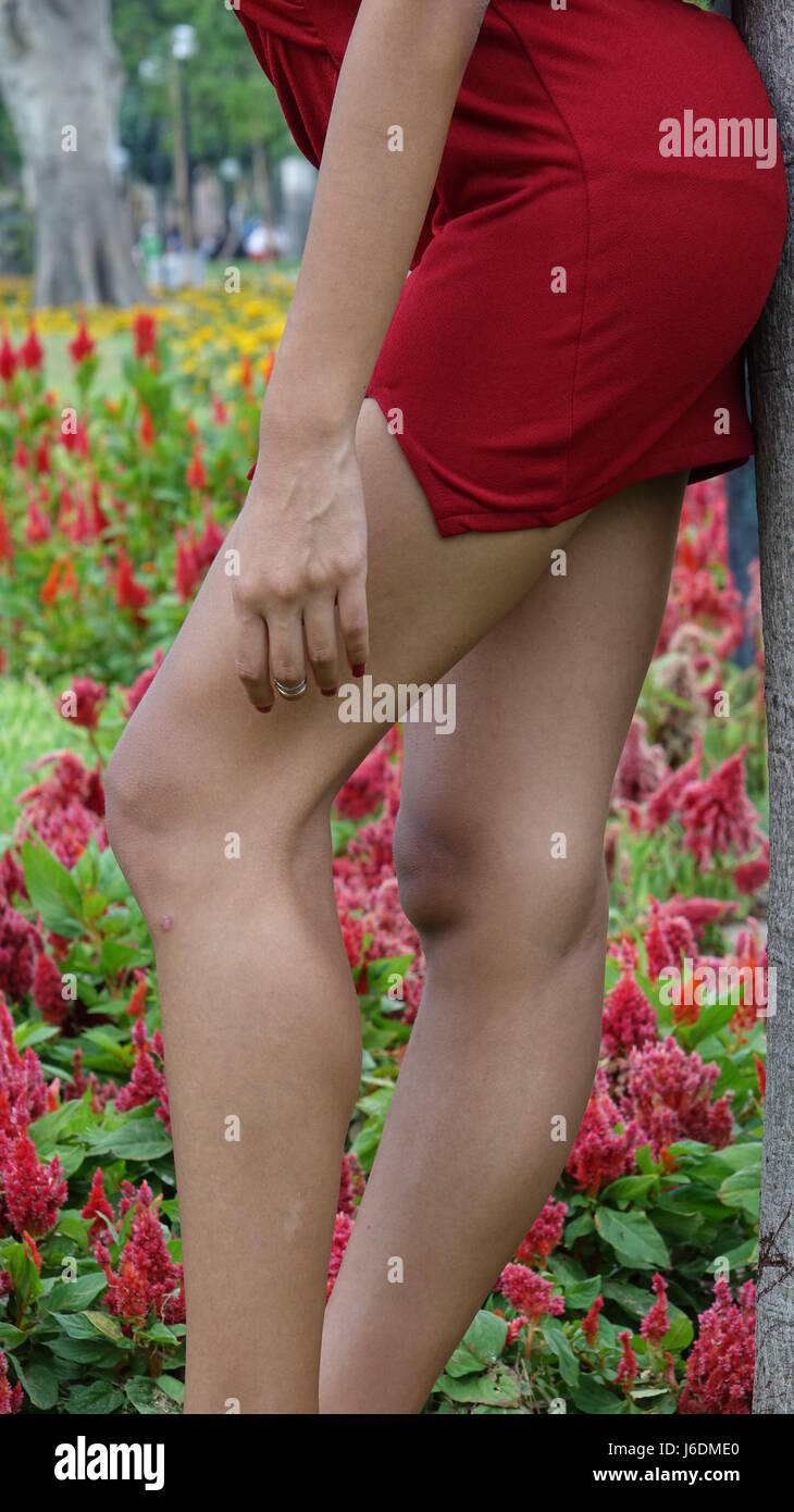 Hübschen weiblichen Teenie Beine Stockfoto
