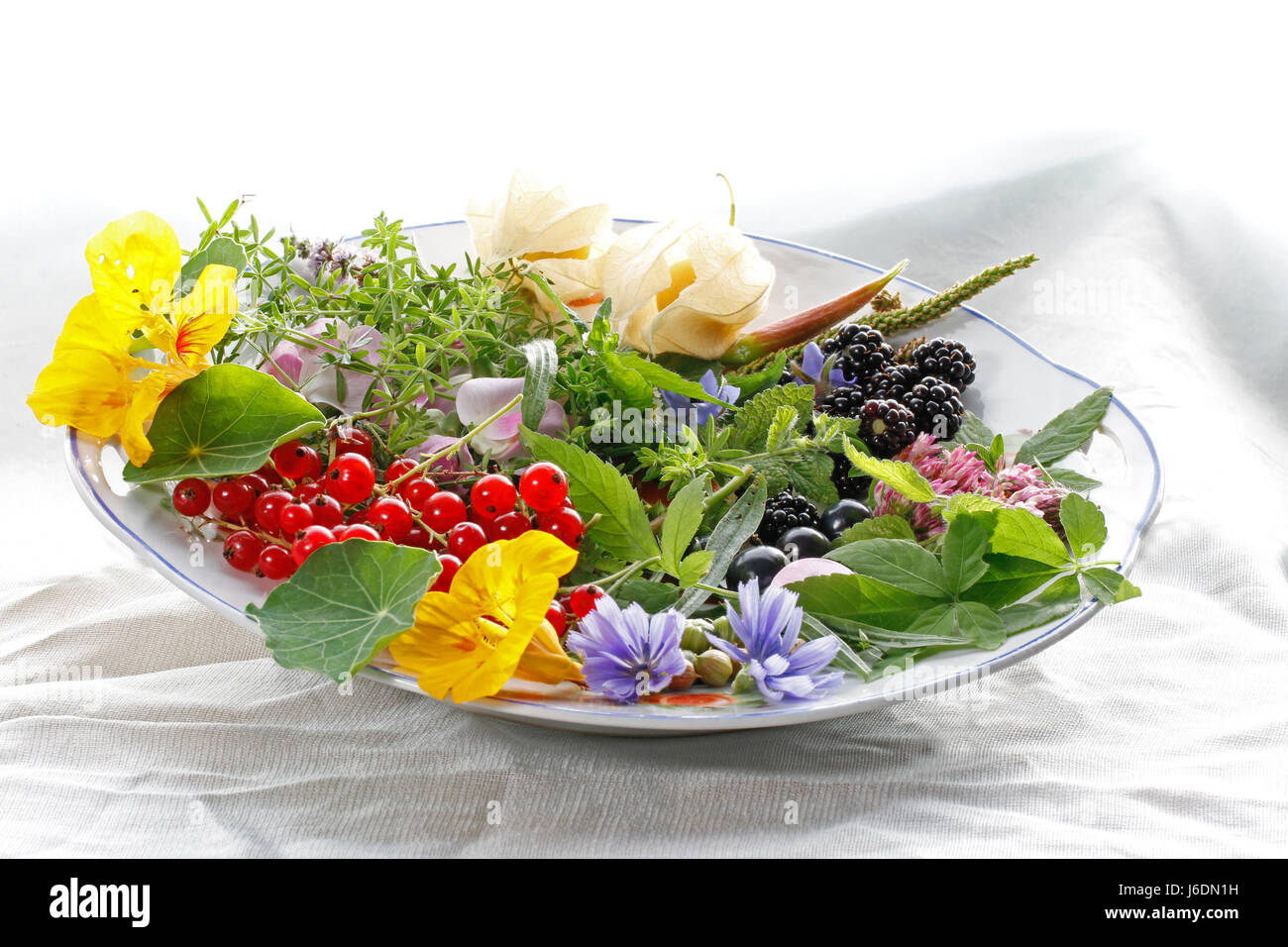 Wilkräuter Und Früchte Saltteller / wilde Kräuter Halthy Essen