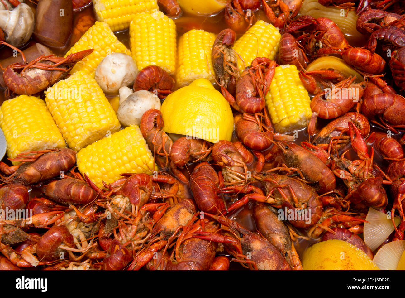 Gekochte Flusskrebse und Mais in New Orleans. Südliche Küche. Stockfoto