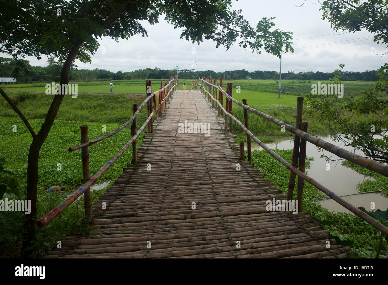 Eine behelfsmäßige Bambusbrücke in Manikganj, Bangladesch Stockfoto